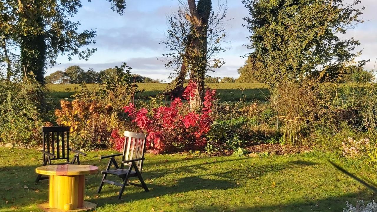 アンボン L'Oustaou Du Bodo Bed & Breakfast エクステリア 写真